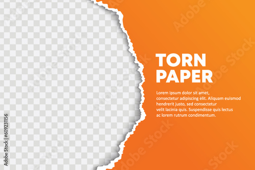 Vector torn paper semi circle background