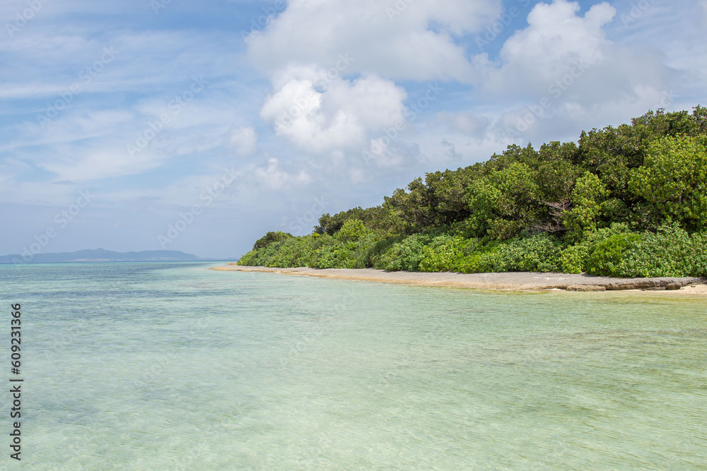 Fototapeta premium 竹富島の海