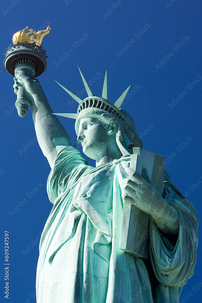 Fototapeta premium Side view of the Staue of Liberty