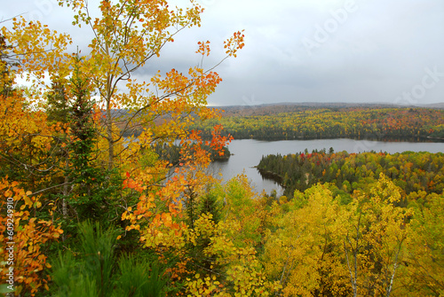Scenic view of autumn forest and hills in Algonquin provincial park Ontario Canada photo