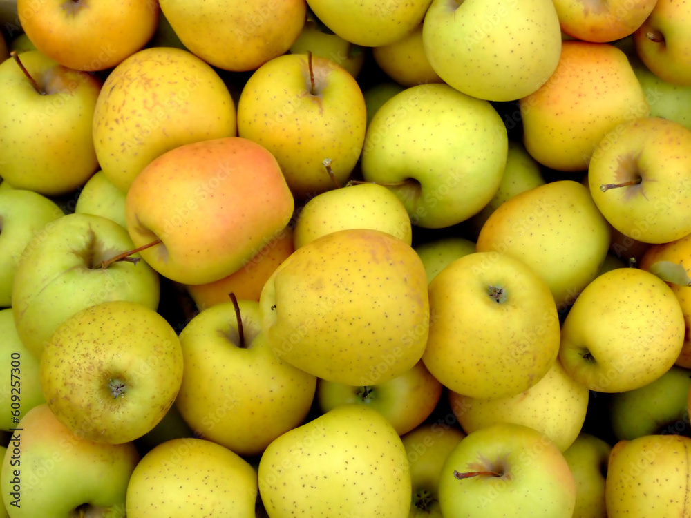 Bunch of yellow organic apples on a market Bunch of yellow organic apples on a market