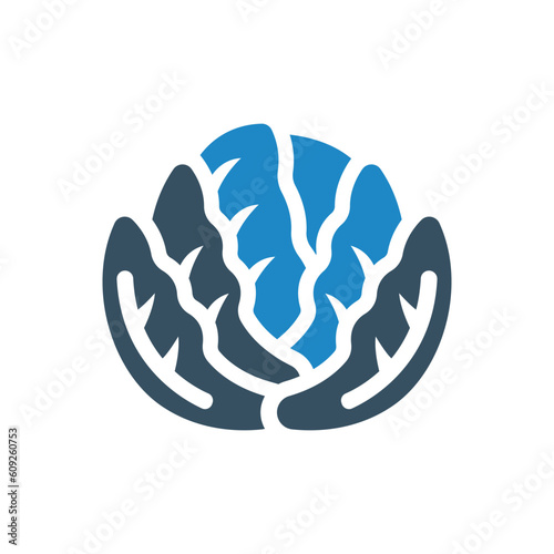 Cabbage or cauliflower icon vector illustration