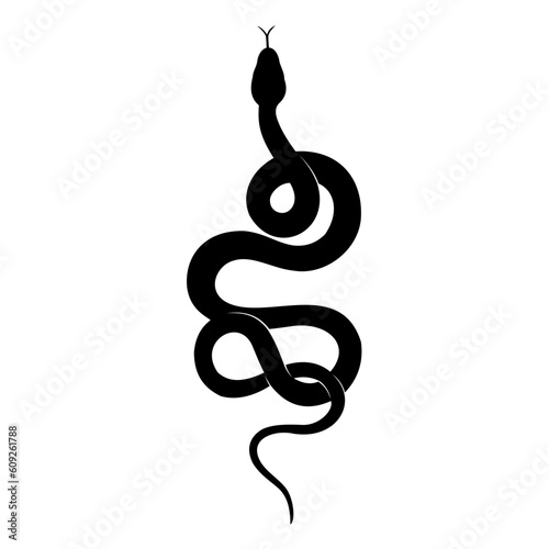 snake vector illustration