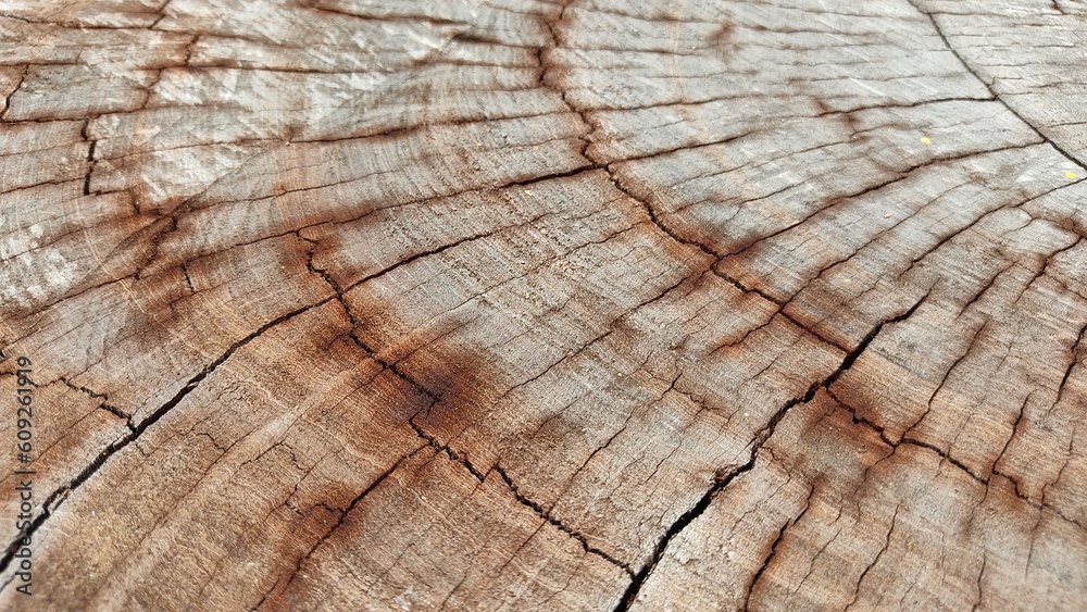 wood texture