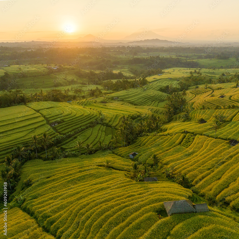 Terraced rice fields in Central Bali. Aerial drone view of the Jatiluwih rice terraces — a UNESCO world heritage site — at sunrise.
