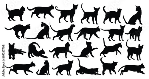 The set of silhouettes domestic cats.
