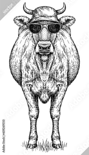 Vintage engraving isolated cow set glasses dressed fashion illustration ink sketch. Farm bull background beef animal silhouette sunglasses hipster hat art. Black and white hand drawn vector image
