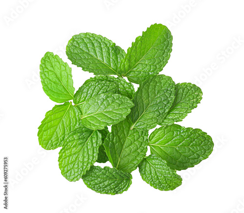 mint leaves isolated on transparent png