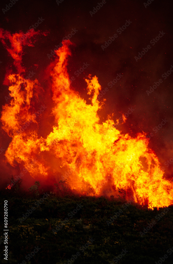 Wild bushfire burning out of control