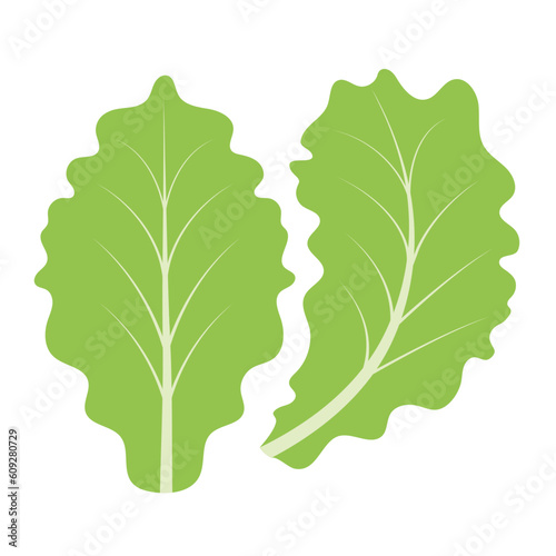 Green lettuce leaves. Leafy vegetables, natural products.