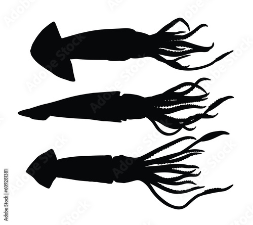 The set silhouettes of sea squid.