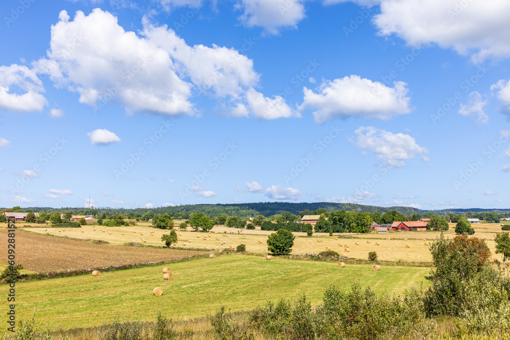 Agriculture landscape view with farms and fields