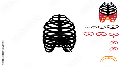 Human Rib Cage silhouette