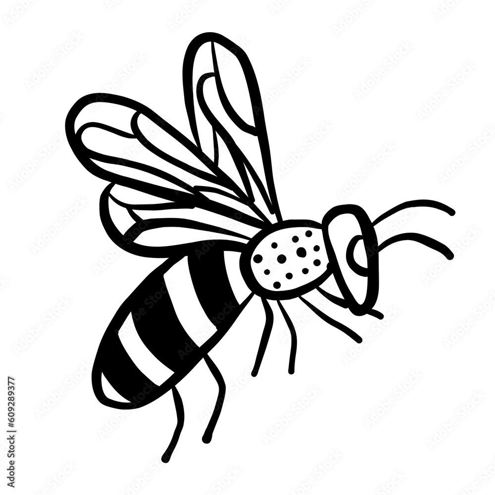 Obraz premium Bee illustration black and white