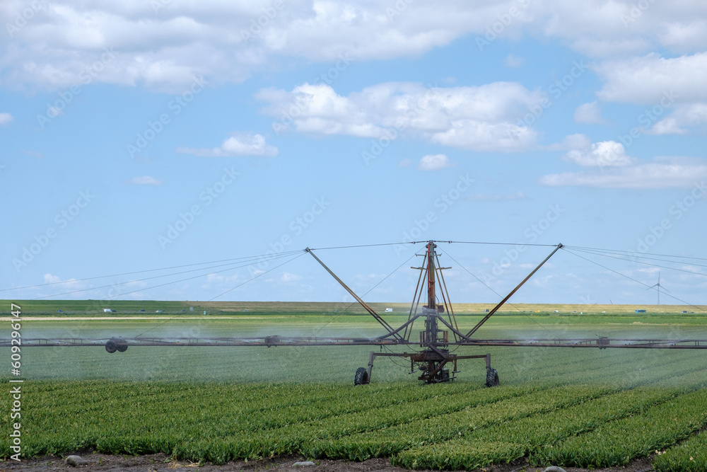 Irrigation of a field in Flevoland || Beregenen van een akker in Flevoland