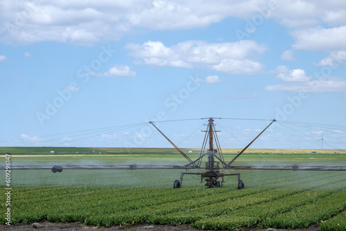 Irrigation of a field in Flevoland || Beregenen van een akker in Flevoland