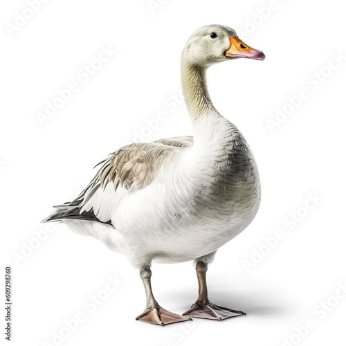 Goose on white background. Generative AI