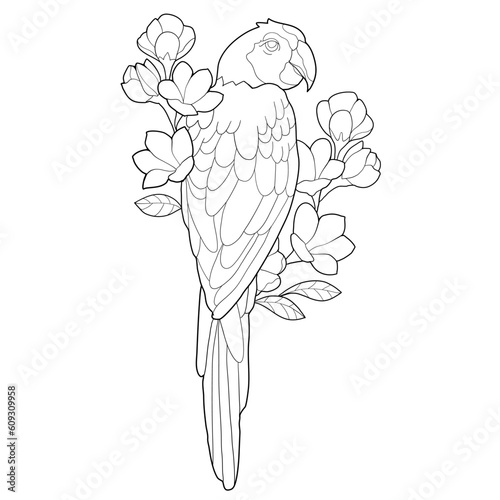 parrot on a branch among leaves and flowers coloring book