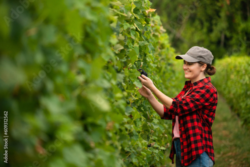 A woman farmer examines the vineyard  © scharfsinn86