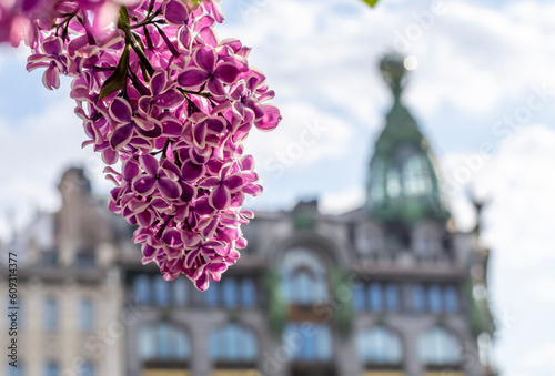 Spring Petersburg. Beautiful blooming lilac against the backdrop of the famous bookstore on Nevsky Prospekt (historical inscription 