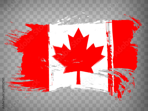 Canada Flag isolated. Flag of Canada, brush stroke background. Waving Flag of Canada on transparent background for your web site design, app, UI. EPS10.