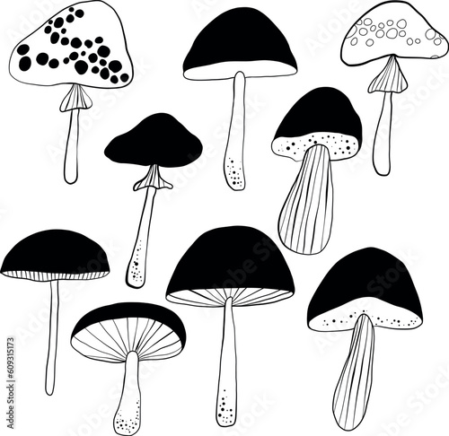 mushrooms 