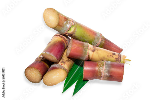 Organic sugar cane isolated on white background, Indian organic sugar cane to make sugar, jaggery, juice, delicious sweets