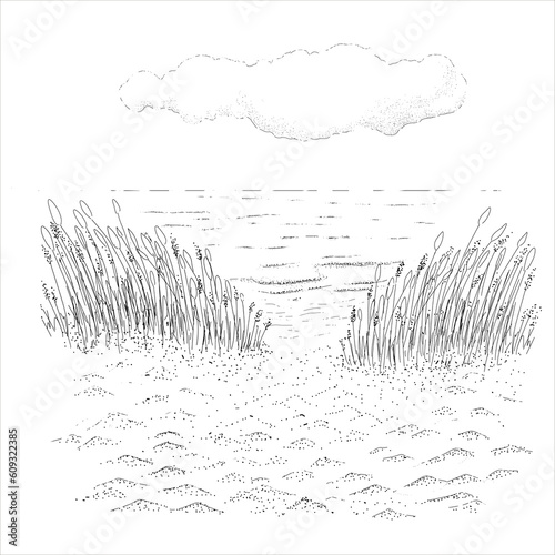 Beach. Sky, nice weather. Happy holiday.  Stock illustration. Hand painted,  line art .