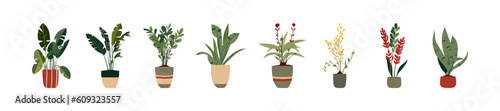 Set of trendy potted plants for home. Different indoor houseplants. Colored flat vector illustration