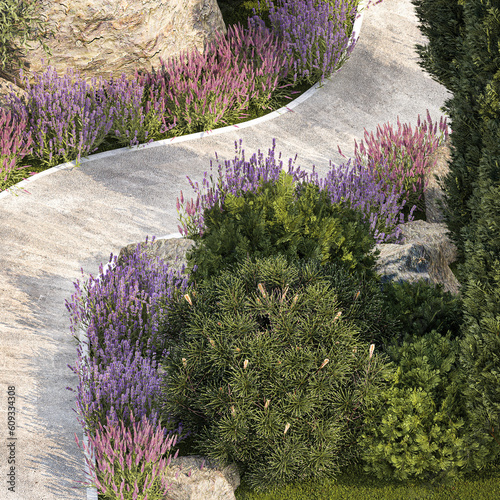  Garden with alpine slide bushes of thuja and lavender