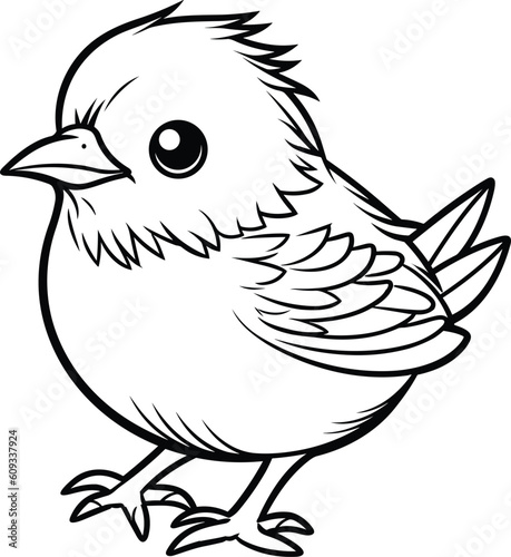 Bird, colouring book for kids, vector illustration	