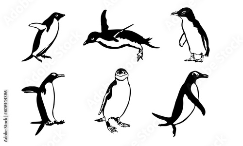 Penguins SVG Graphic