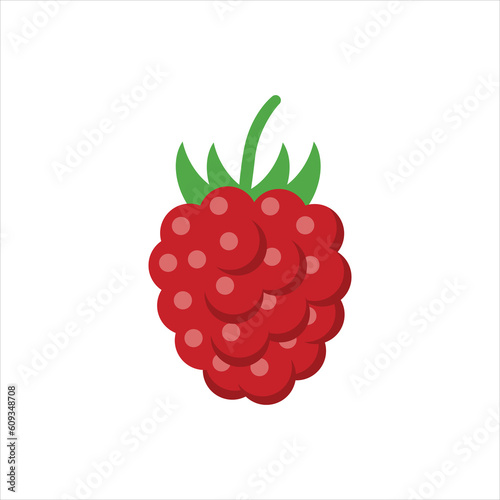 raspberry isolated on white