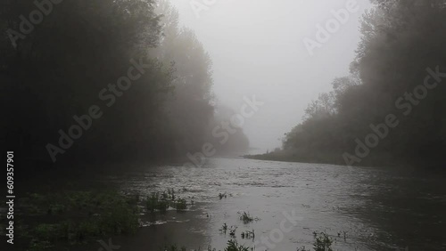 Fog on the sidebranch of the Drava River photo