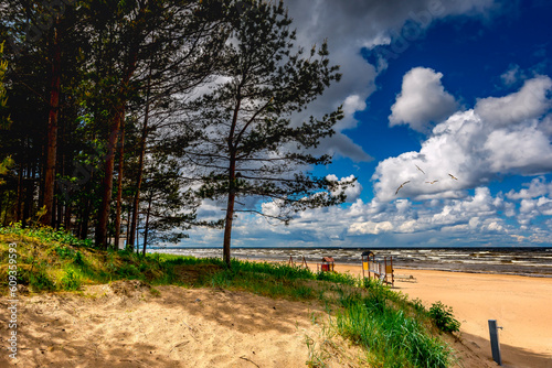 Coastal landscape with pine trees and cumulous clouds above the Baltic Sea in...