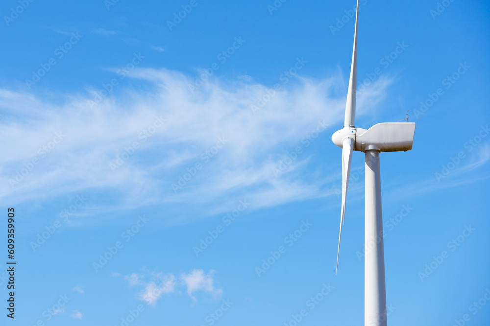 Wind turbine generator for sustainable electricity production