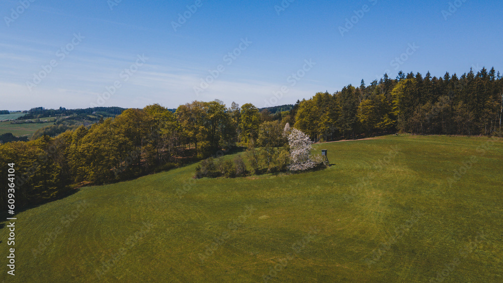 Spring landscape with high seat in the meadow and forest, Czechia