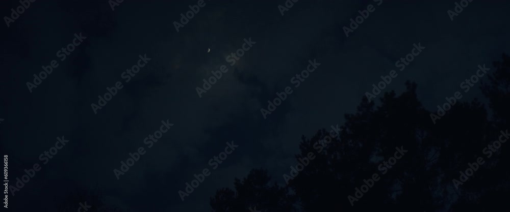 Dark clouds over the forest at night