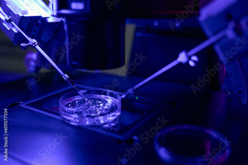 Micromanipulator catching spermatozoa to make injection into oocyte