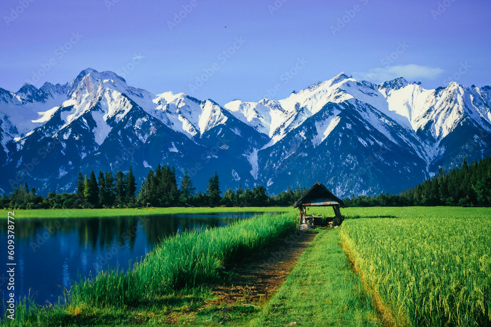 Image of old rice fields and huts and snow-capped mountains background.