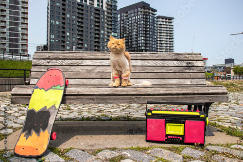funny orange cat with a mohawk and green eyes sitting on a bench and looking at the camera with an 80s boombox and a neon skateboard, horizontal image