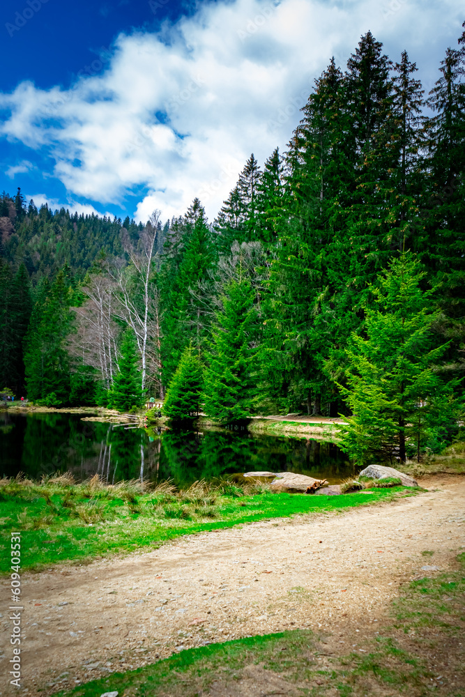 Small Arber Lake on the slope of Mount Arber in the Bavarian Forest. Bavaria. Germany.