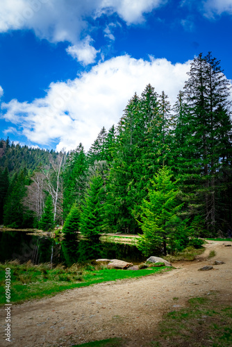 Wallpaper Mural Small Arber Lake on the slope of Mount Arber in the Bavarian Forest. Bavaria. Germany. Torontodigital.ca