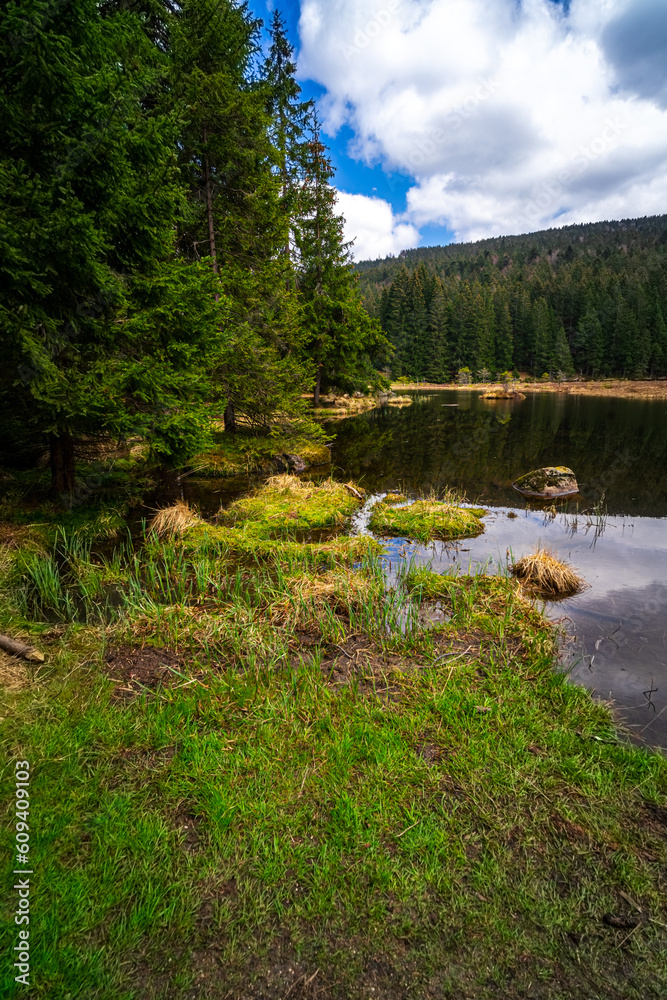 Small Arbersee on the slope of Mount Arber in the Bavarian Forest. Bavaria. Germany.