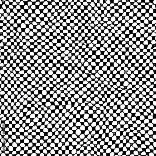 The 