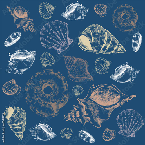 Sea shells. Hand drawn marine seashell. Sketch style drawing underwater elements different types. Tropical ocean inhabitants, exotic wildlife isolated decorative elements. Vector set