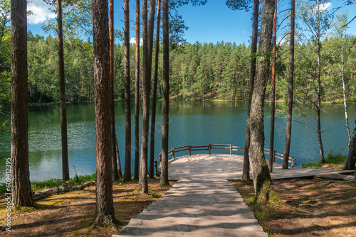 Fototapeta Naklejka Na Ścianę i Meble -  Forest lake Velnezers or Chertoks (Latvian: Čertoks) in Latgale region, Latvia