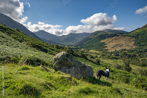 Ben Nevis Hike with Border Collie exploring