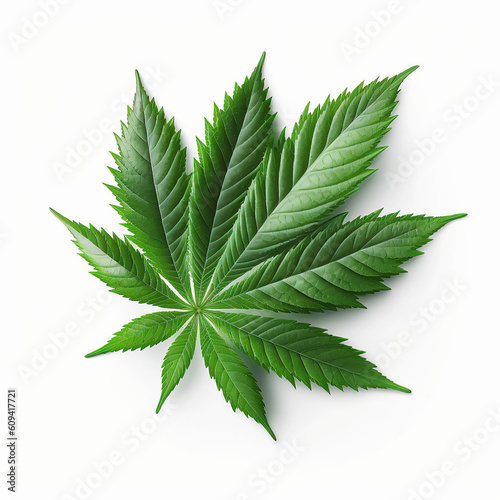 Ai generated illustration Green cannabis leaves isolated on white background. Growing medical marijuana