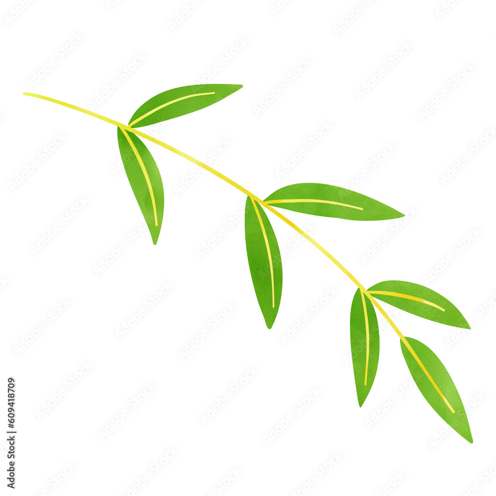 Fototapeta premium green leaves